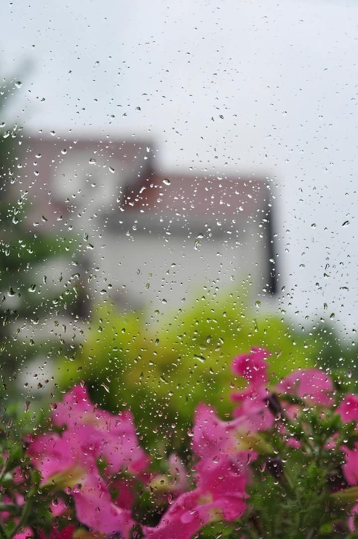   ♡