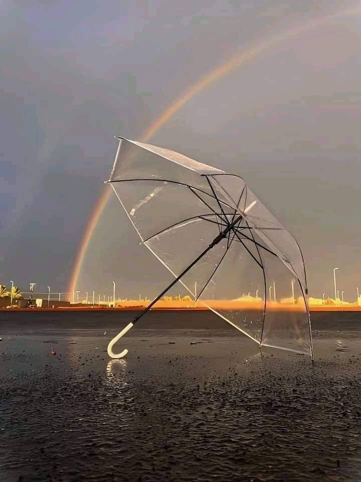  ♡