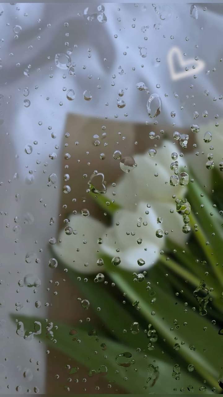  ...💙🌧🌻