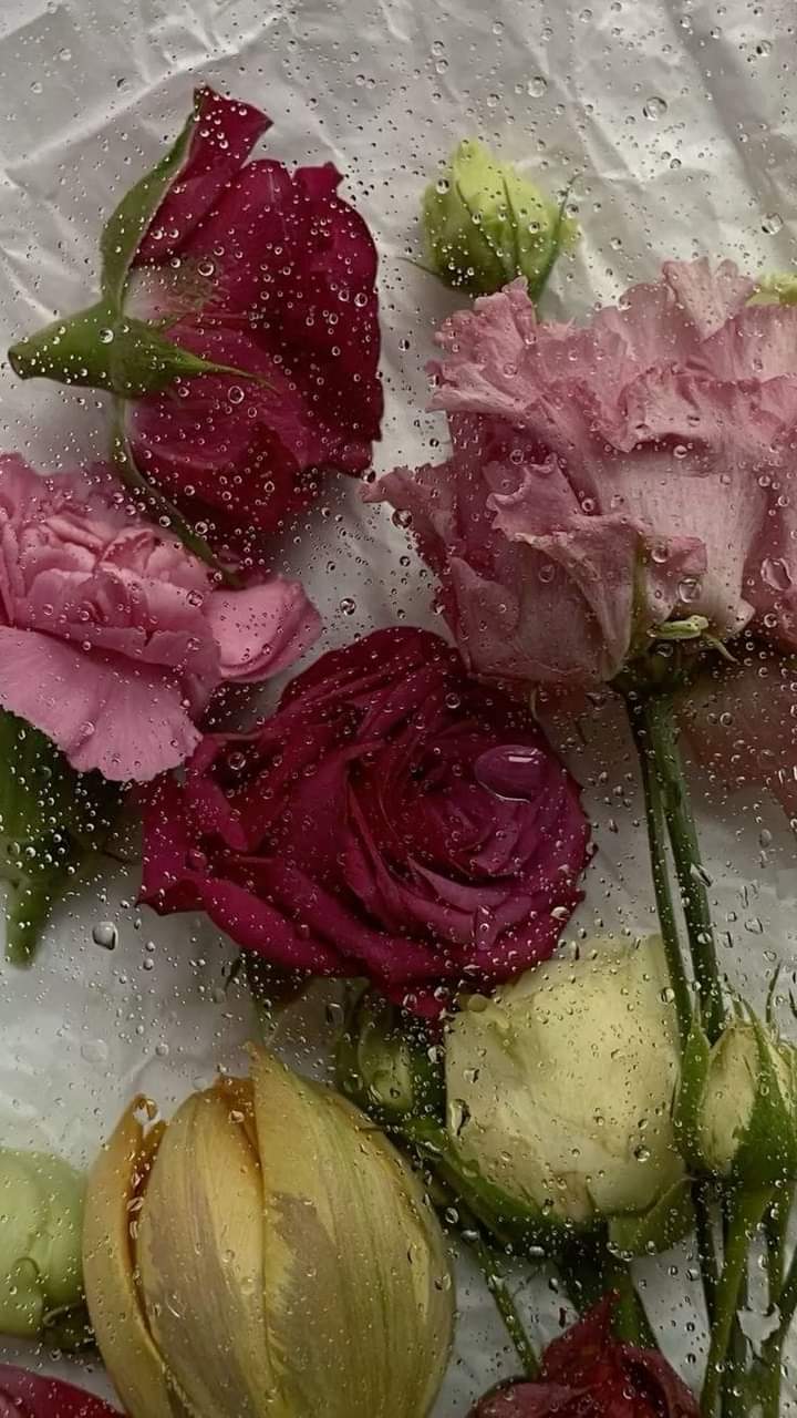  ...💙🌧🌻