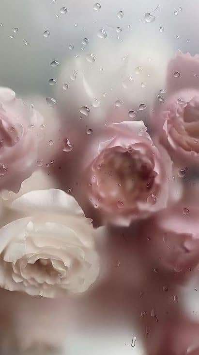  ...💙🌧🌻
