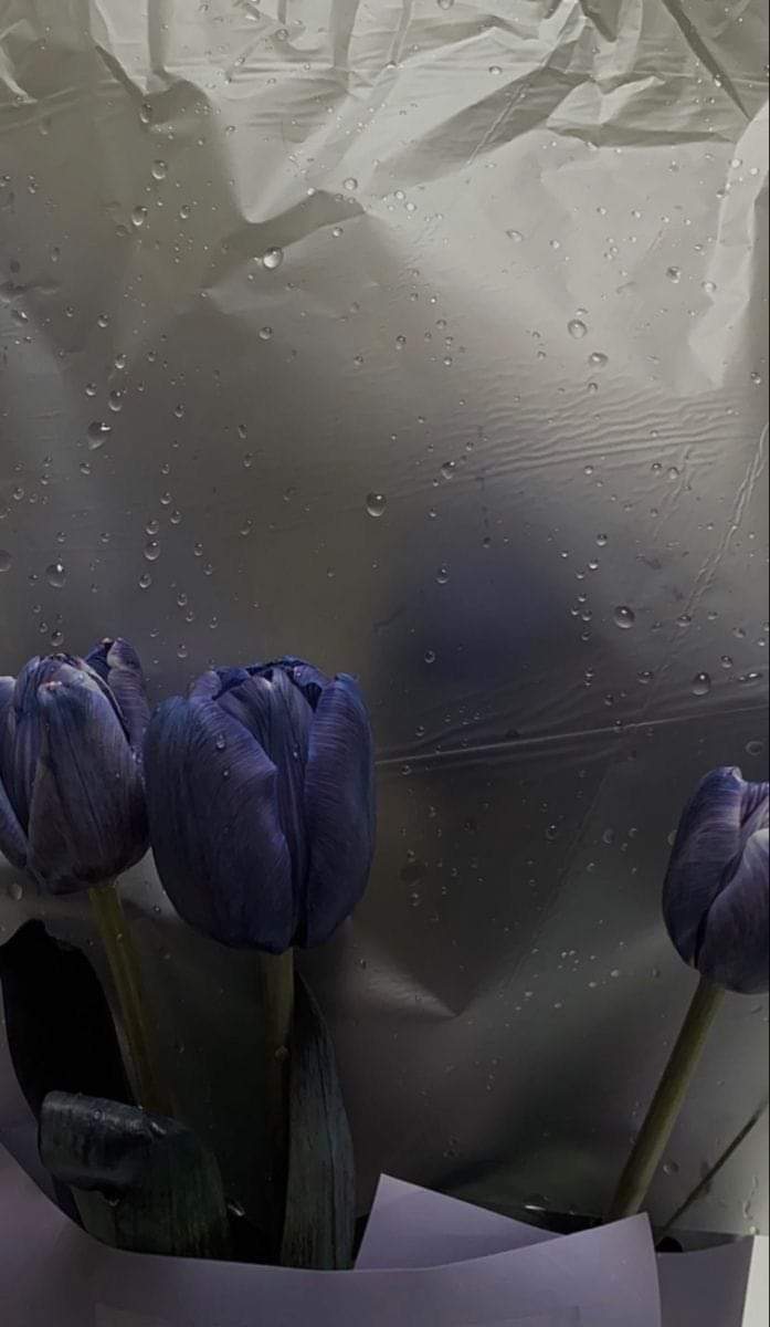  ...💙🌧🌻